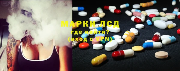 мяу мяу мука Аркадак