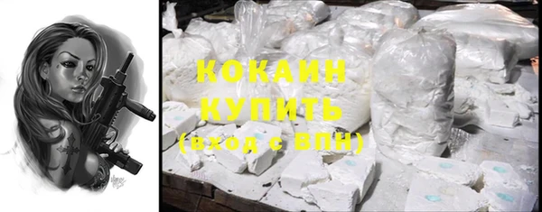 индика Армянск