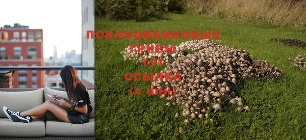 гидропоника Приозерск