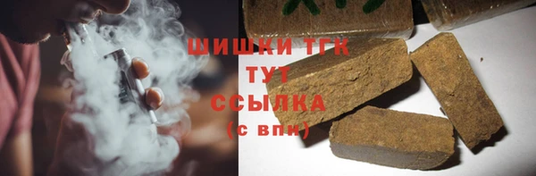 индика Армянск