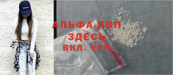 индика Армянск