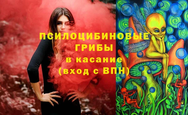 индика Армянск